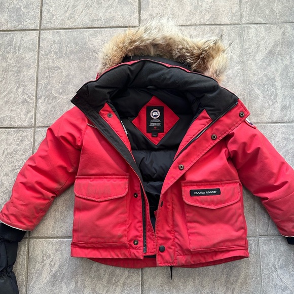 Jacket - Picture 3 of 13